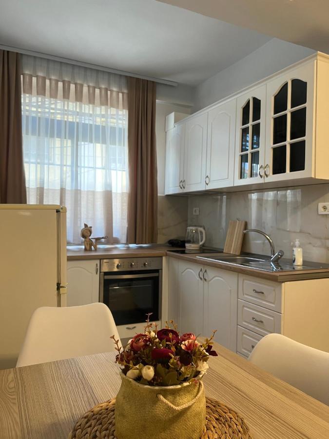 Sael Apartments Shkodër エクステリア 写真